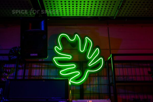 neon w kształcie liścia